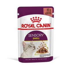 Royal Canin Sensory Smell umido in Salsa per gatti