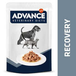Advance Veterinary Diets Recovery Alimento umido per cani e gatti