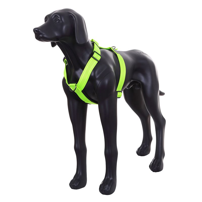 Pettorina Rukka® Form Neon, giallo  55 - 85 cm circ. torace x H 3 cm