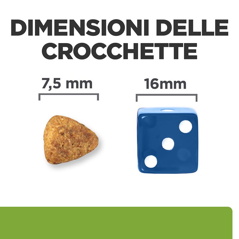 Hill's Prescription Diet j/d Metabolic + Mobility Mini secco per cani