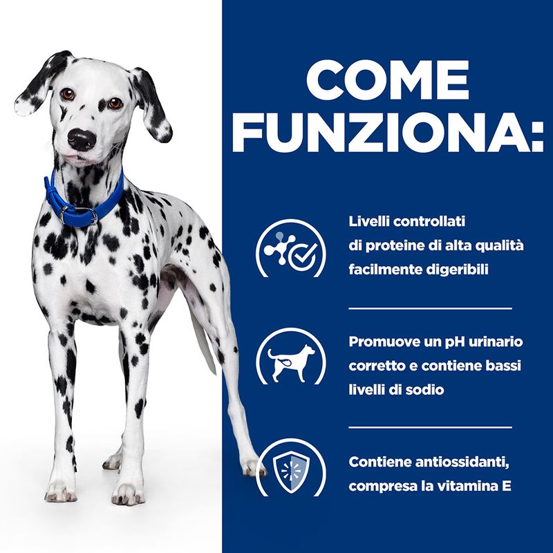 Hill's Prescription Diet u/d Urinary Care secco per cani