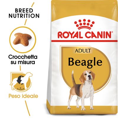 Royal Canin Beagle Adult Crocchette per cane 12 kg