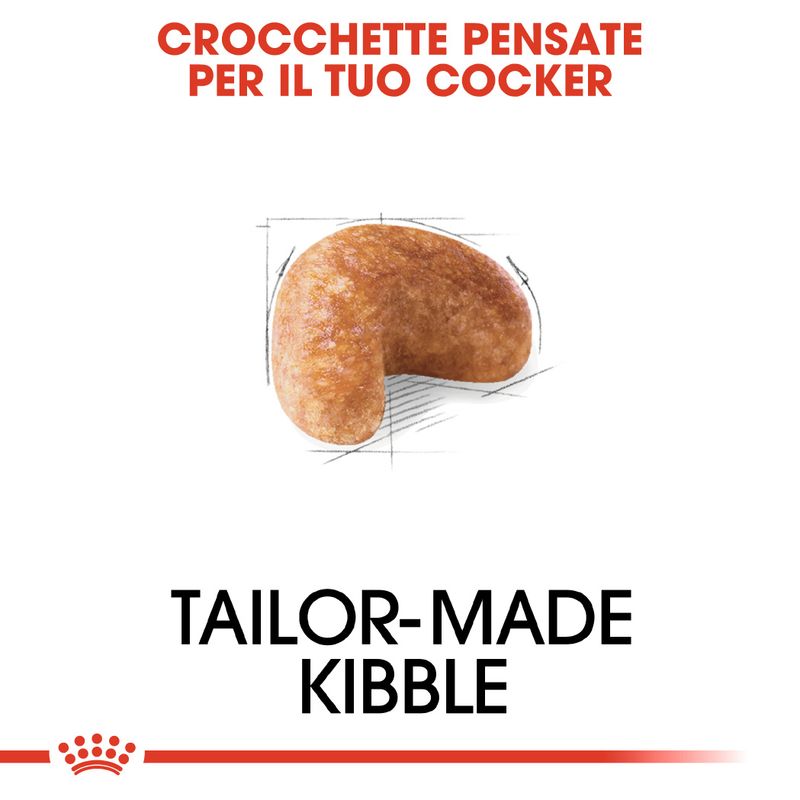 Royal Canin Cocker Adult Crocchette per cane