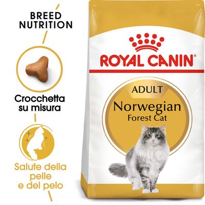 Royal Canin Norvegese delle Foreste Adult Crocchette per gatto