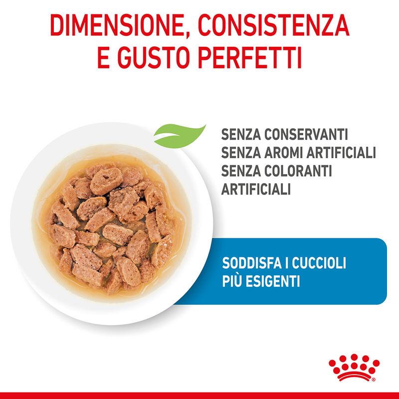 Royal Canin Mini Puppy umido in salsa per cani