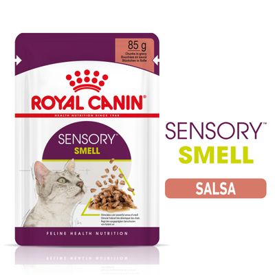 Royal Canin Sensory Smell umido in Salsa per gatti
