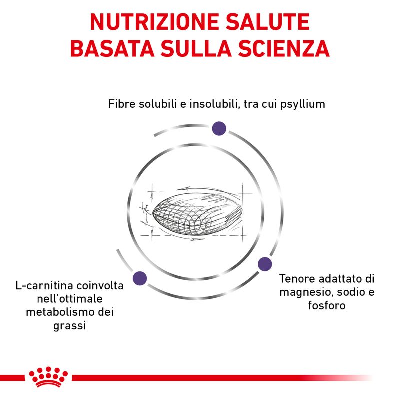 Royal Canin Expert Feline Neutered Satiety Balance Crocchette per gatto