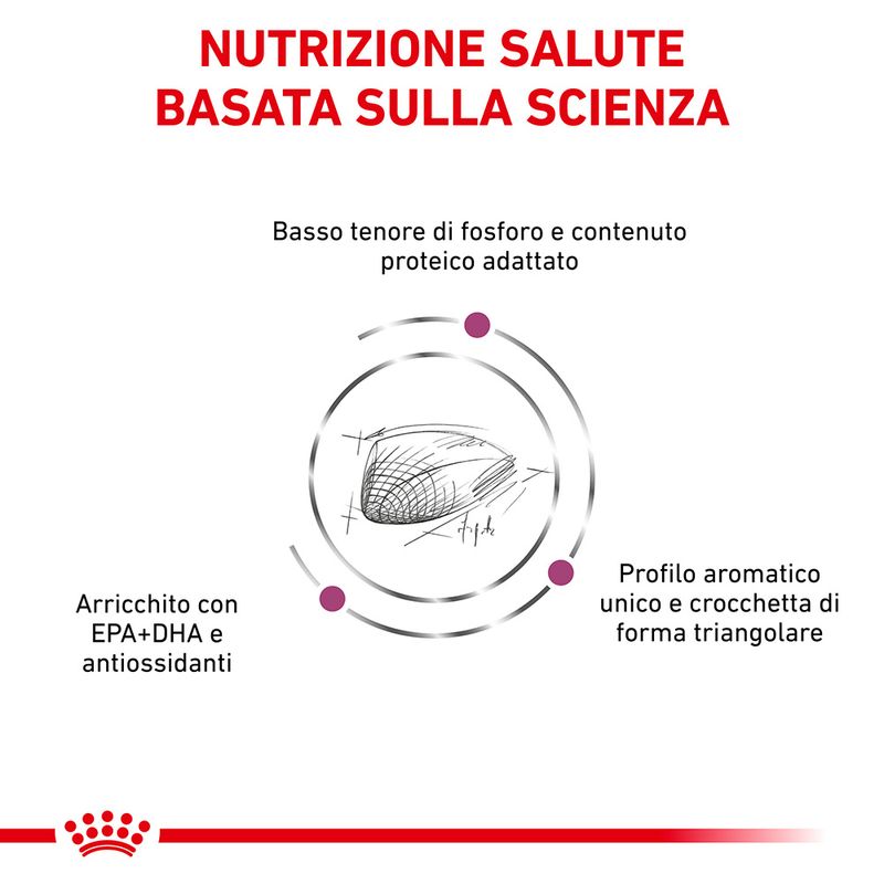 Royal Canin Renal Special Feline Veterinary Crocchette per gatti