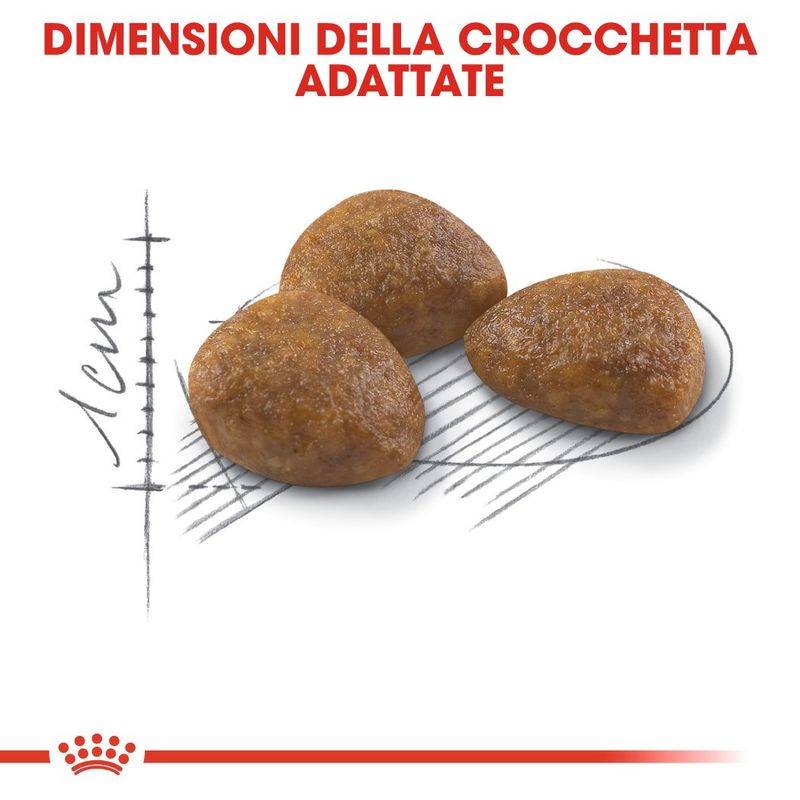 Royal Canin Outdoor 7+ Crocchette per gatto